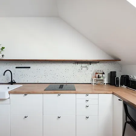 Bright Duplex Loft Near Wenceslas Square * Prag